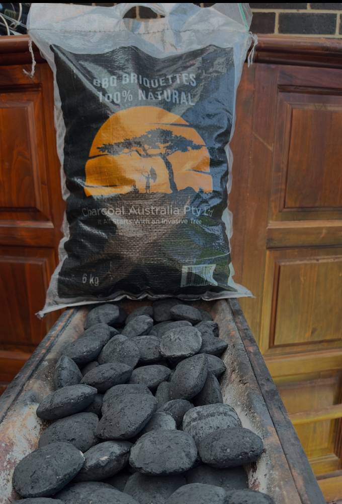 Briquettes