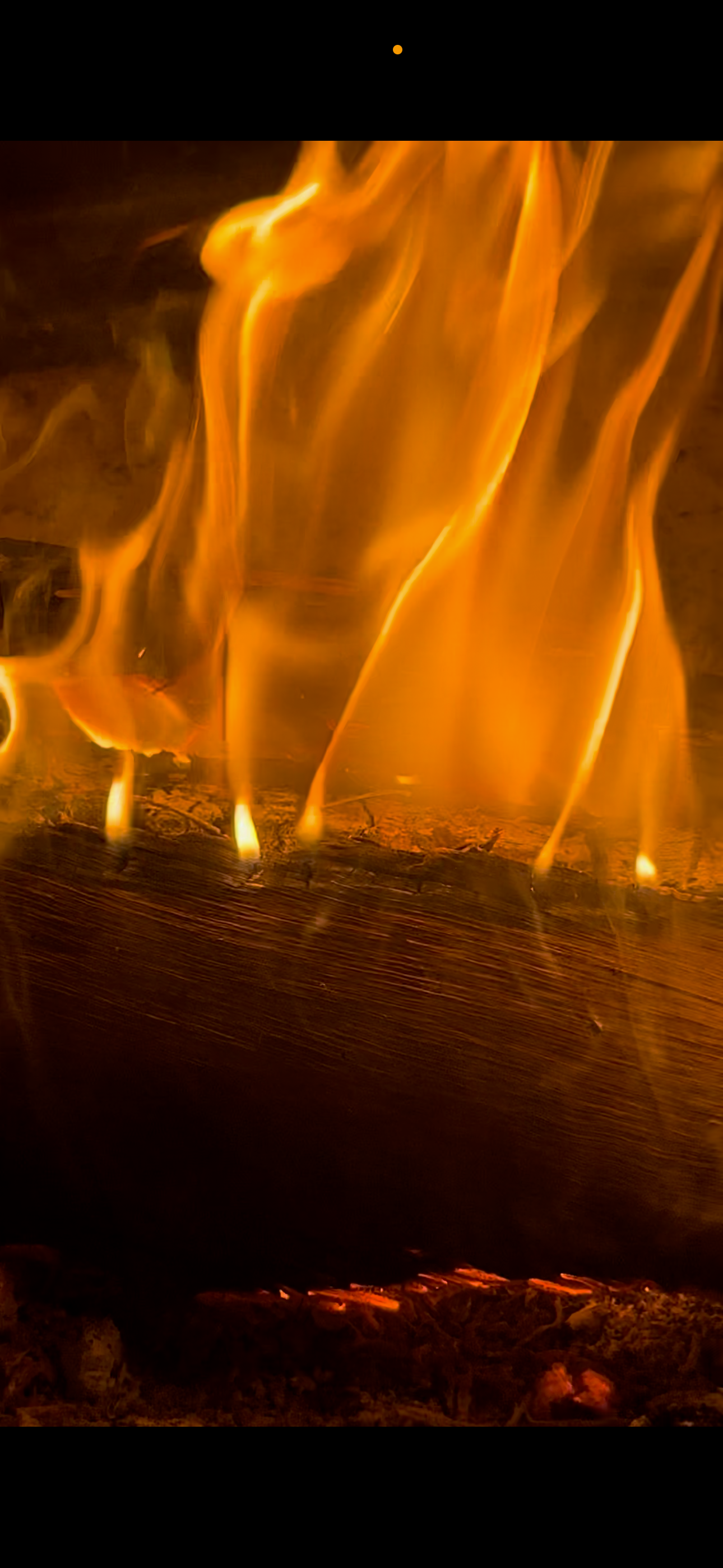 Black Wattle Firewood  Bundle Deals